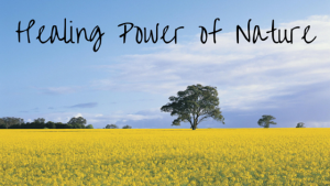 healing power of nature
